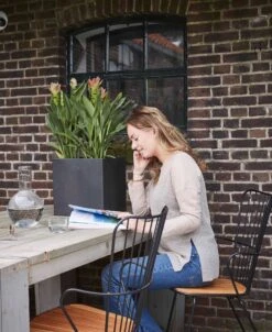 Capi Europe - Bloempot Vierkant Smooth NL - 50x50x50 - Zwart - Voor Binnen En Buiten - KBL904 -Tuinen Speciaal Winkel 983x1200 1