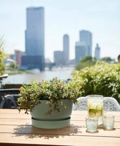 Elho Greenville Schaal 33 - Bloempot Voor Buiten - Ø 32.5 X H 19.4 Cm - Groen/Blad Groen 11 Elho Greenville Schaal 33 - Bloempot Voor Buiten - Ø 32.5 X H 19.4 Cm - Groen/Blad Groen -Tuinen Speciaal Winkel 986x1200