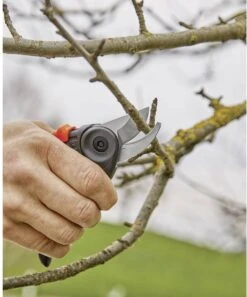 GARDENA - ExpertCut - Snoeischaar - 22 Diameter Tak 35 GARDENA - ExpertCut - Snoeischaar - 22 Diameter Tak -Tuinen Speciaal Winkel 999x1200 2