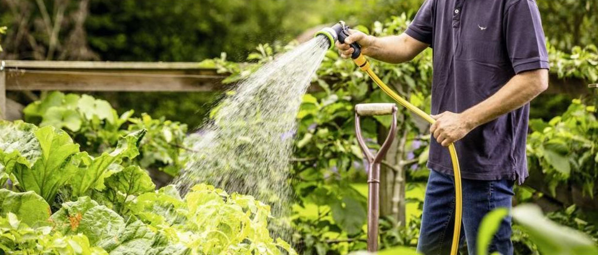 Tuinen Speciaal Winkel -Tuinen Speciaal Winkel fhgdfh